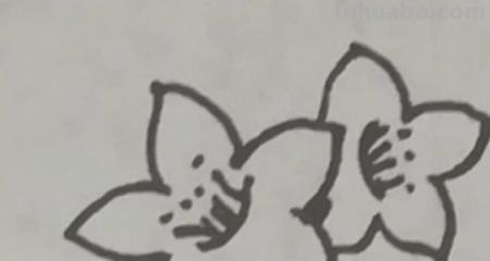 桃花的简笔画怎么画 怎么画桃花? 桃花的简笔画怎么画 怎么画桃花?