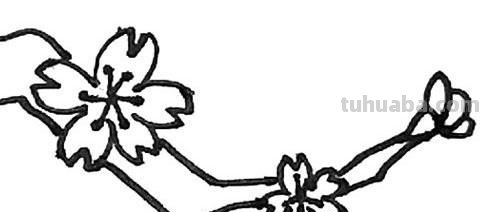 桃花的简笔画怎么画 怎么画桃花? 桃花的简笔画怎么画 怎么画桃花?