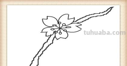 桃花的简笔画怎么画 怎么画桃花? 桃花的简笔画怎么画 怎么画桃花?