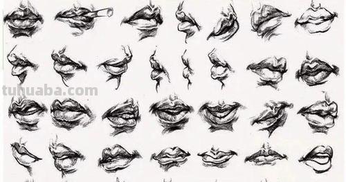速写张嘴笑 速写局部嘴巴线形的画法？