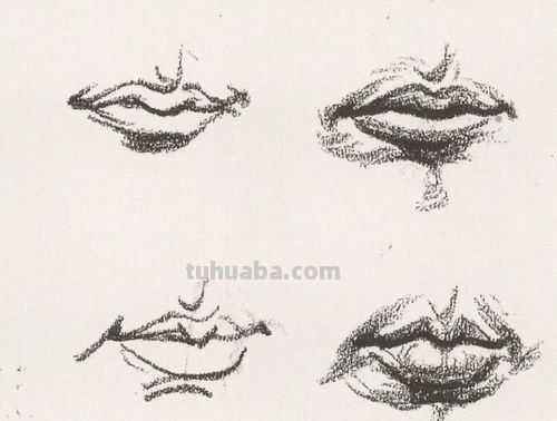 速写张嘴笑 速写局部嘴巴线形的画法?