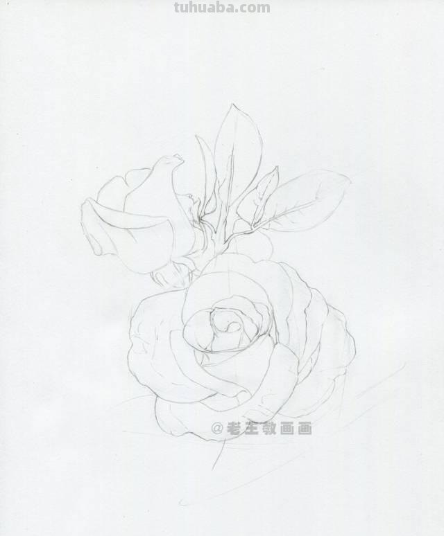 520要来了！如何才能画好一朵玫瑰花？（彩铅详细教程）