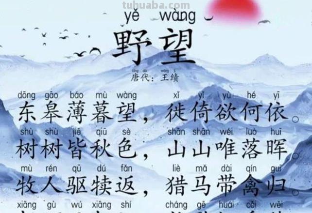 野望这首诗的主旨是什么 野望这首诗的主旨是什么请简要概括出来