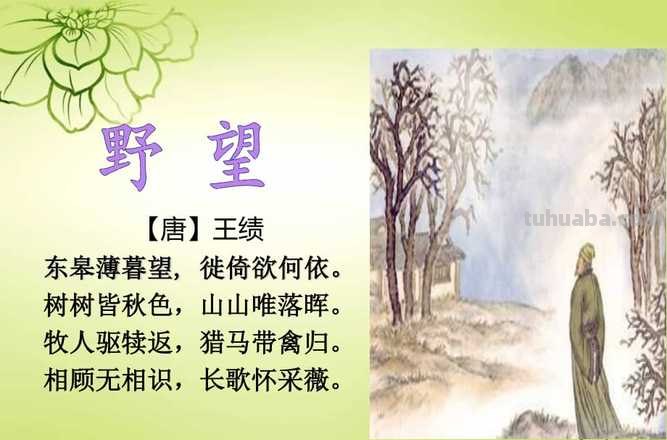 野望这首诗的主旨是什么 野望这首诗的主旨是什么请简要概括出来