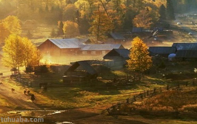 《野望》主旨 《野望》主旨