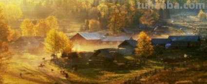 野望这首诗描绘的主要内容是什么? 野望这首诗描绘的主要内容是什么?