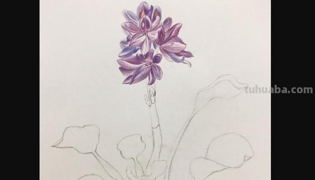 茉莉怎么画彩铅颜色 彩铅花朵图解教程1？