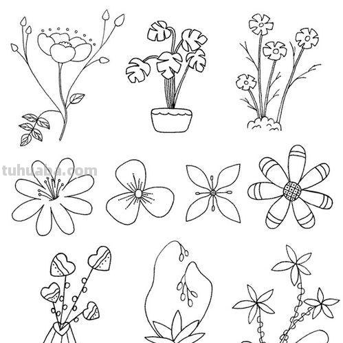 漂亮的绿植花卉简笔画~简单易学~