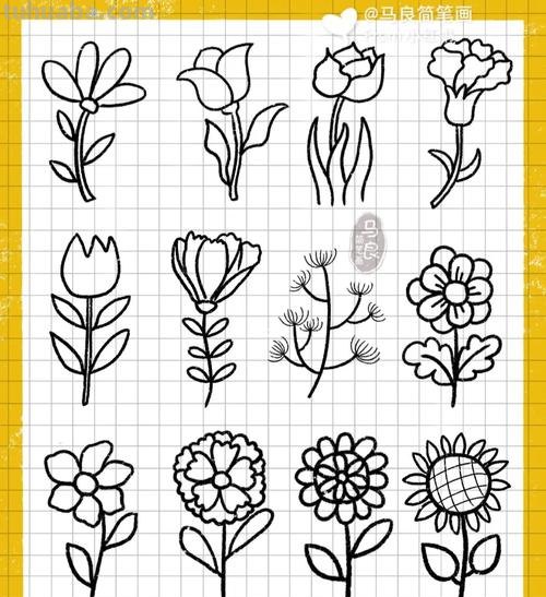 漂亮的绿植花卉简笔画~简单易学~