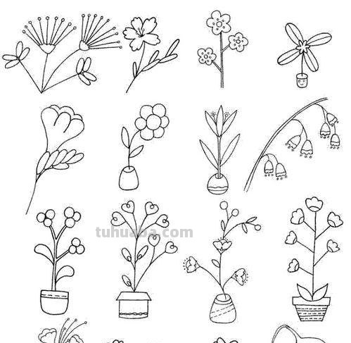 漂亮的绿植花卉简笔画~简单易学~