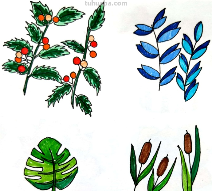漂亮的绿植花卉简笔画~简单易学~