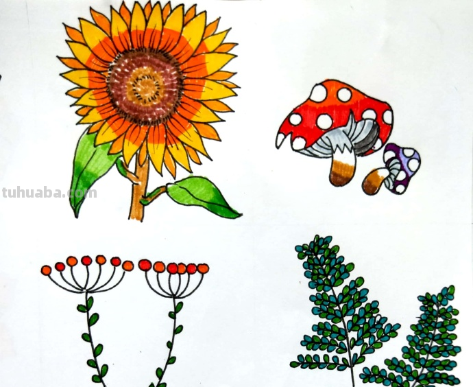 漂亮的绿植花卉简笔画~简单易学~