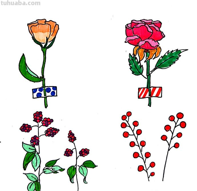 漂亮的绿植花卉简笔画~简单易学~