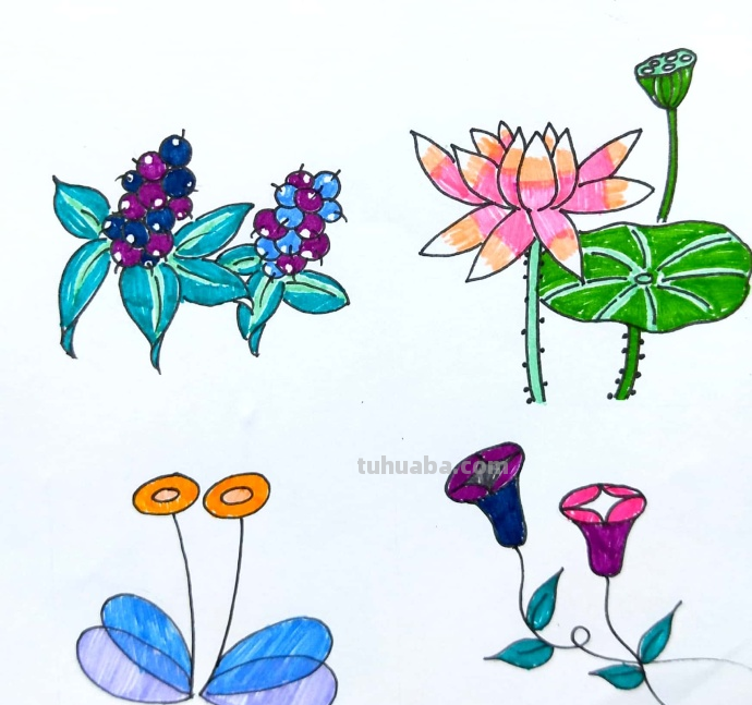漂亮的绿植花卉简笔画~简单易学~