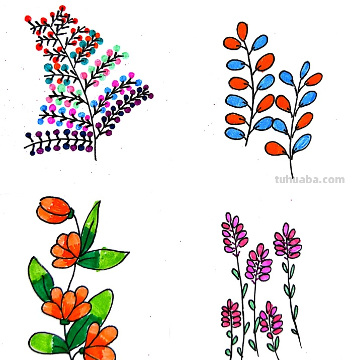 漂亮的绿植花卉简笔画~简单易学~