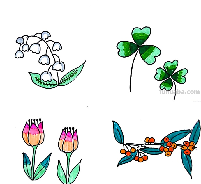 漂亮的绿植花卉简笔画~简单易学~
