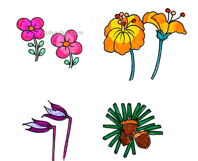 漂亮的绿植花卉简笔画~简单易学~