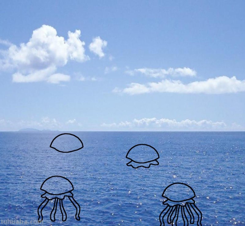 海洋动物简笔画，儿童简笔画