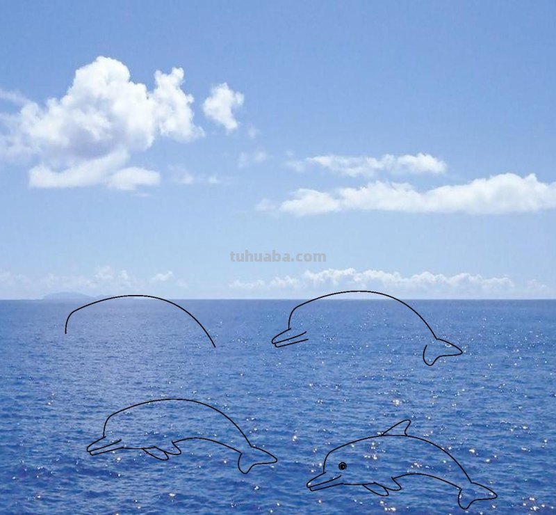 海洋动物简笔画，儿童简笔画