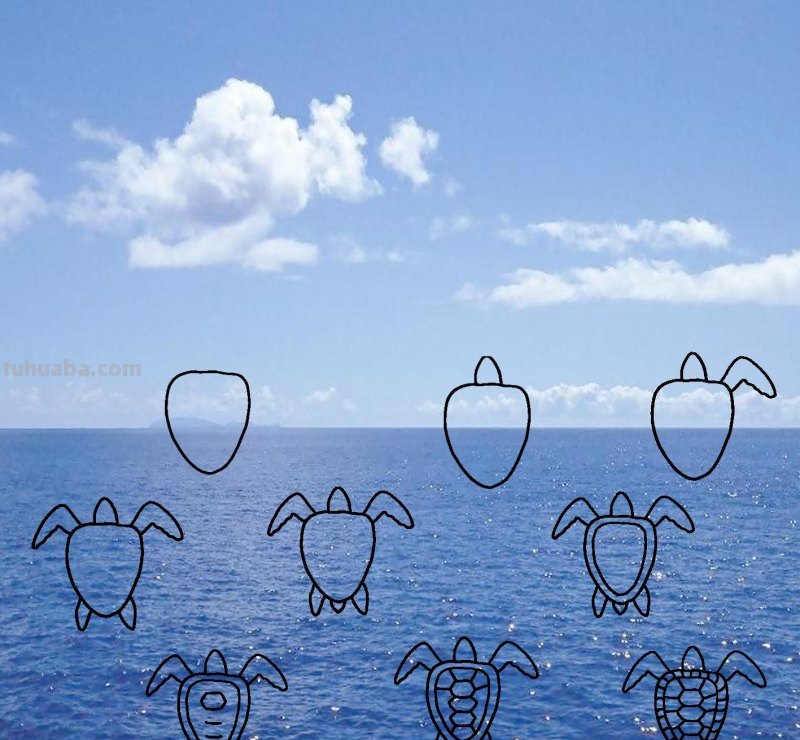 海洋动物简笔画，儿童简笔画