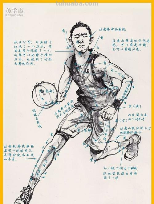 运动速写素材 什么是速写重心线？