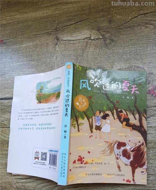 风吹过的夏天读书卡怎么写 风吹过的夏天读后感400？