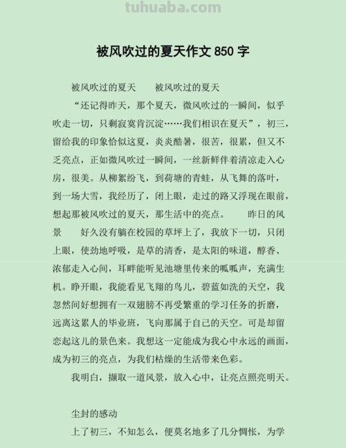 风吹过的夏天读书卡怎么写 风吹过的夏天读后感400？