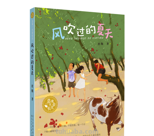 风吹过的夏天读书卡怎么写 风吹过的夏天读后感400？