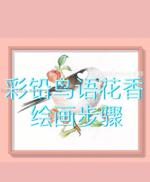 彩铅插画小鸟怎么画 鸟语花香彩铅绘画步骤？