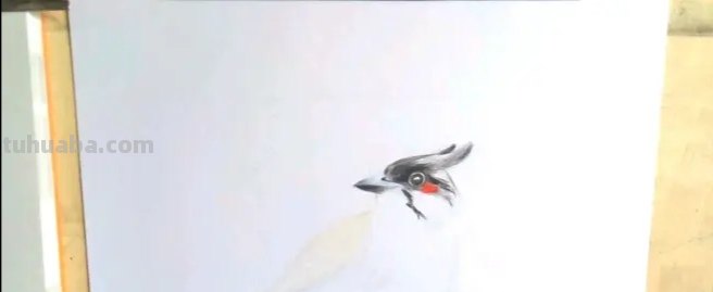 彩铅插画小鸟怎么画 鸟语花香彩铅绘画步骤？