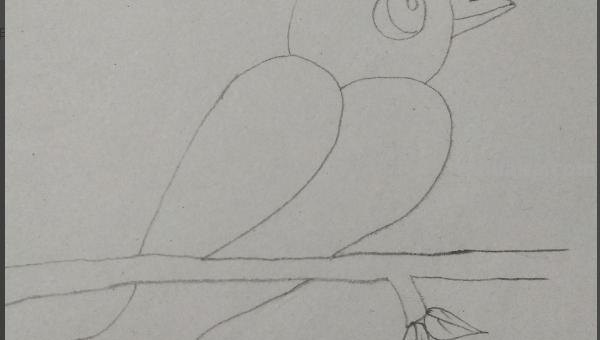 彩铅插画小鸟怎么画 鸟语花香彩铅绘画步骤？