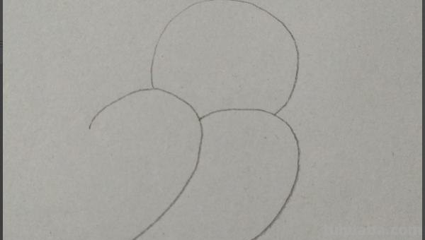 彩铅插画小鸟怎么画 鸟语花香彩铅绘画步骤？