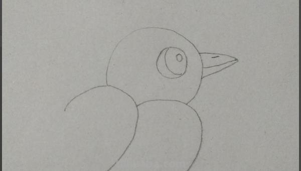 彩铅插画小鸟怎么画 鸟语花香彩铅绘画步骤？