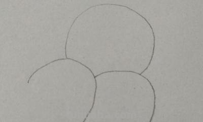 彩铅插画小鸟怎么画 鸟语花香彩铅绘画步骤？