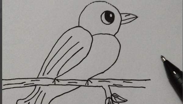 彩铅插画小鸟怎么画 鸟语花香彩铅绘画步骤？