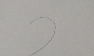 彩铅插画小鸟怎么画 鸟语花香彩铅绘画步骤？