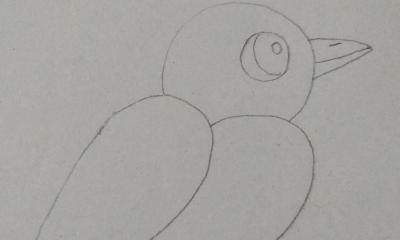 彩铅插画小鸟怎么画 鸟语花香彩铅绘画步骤？