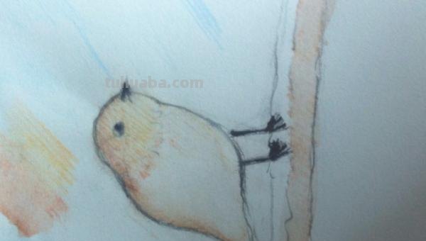 彩铅插画小鸟怎么画 鸟语花香彩铅绘画步骤？