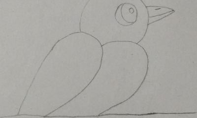 彩铅插画小鸟怎么画 鸟语花香彩铅绘画步骤？