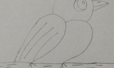 彩铅插画小鸟怎么画 鸟语花香彩铅绘画步骤？