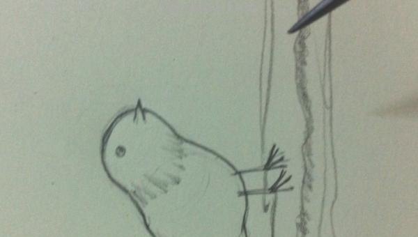 彩铅插画小鸟怎么画 鸟语花香彩铅绘画步骤？