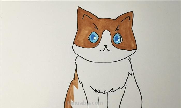 简笔画小猫涂什么颜色 简笔画小狗和小猫的画法？