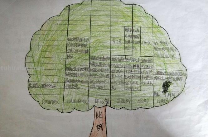 思维导图有些什么内容 思维导图分为几大内容?