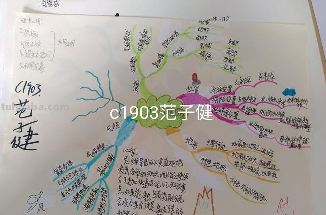 思维导图有些什么内容 思维导图分为几大内容？