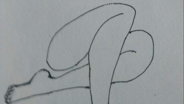 画脚怎么画简笔画 简笔画腿的画法？