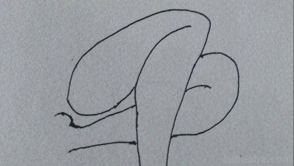 画脚怎么画简笔画 简笔画腿的画法？