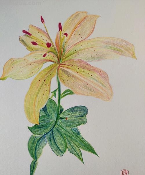 播放用彩铅怎么画 怎样画彩铅画?