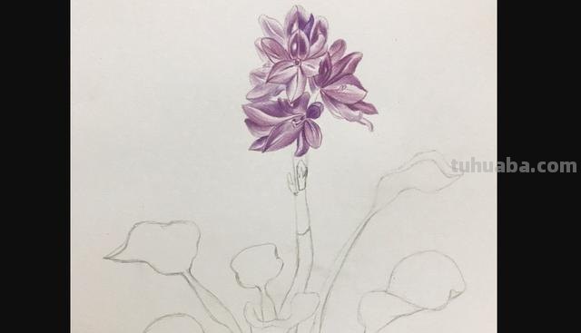 动漫彩铅花环怎么画 彩铅花朵图解教程1？