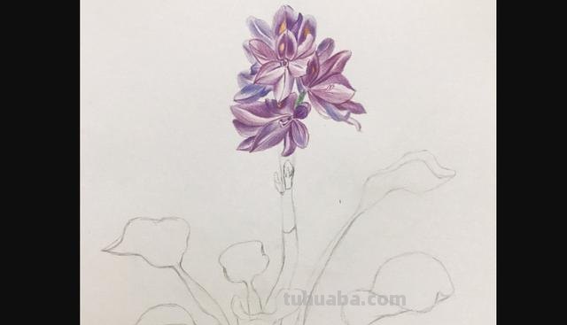 动漫彩铅花环怎么画 彩铅花朵图解教程1？