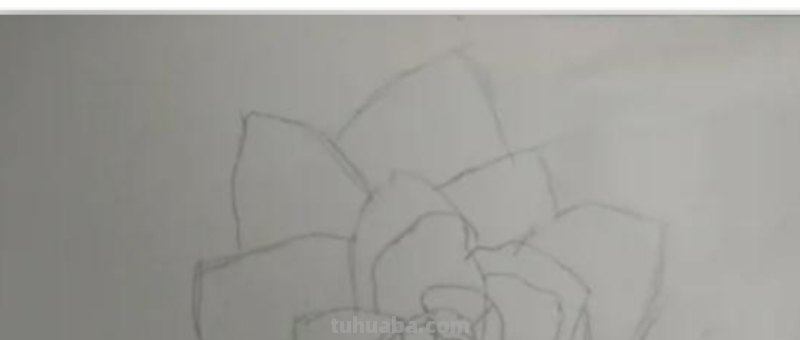 动漫彩铅花环怎么画 彩铅花朵图解教程1？